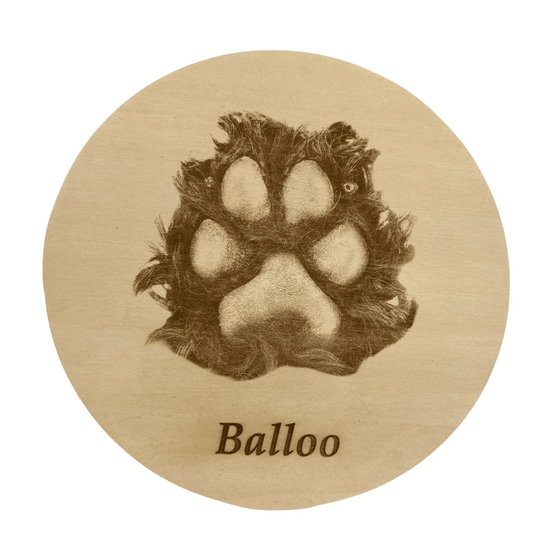 Laser-engraved paw print on wooden disc.