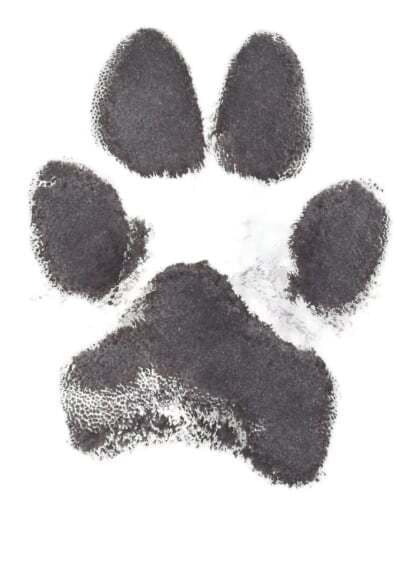 Delicate ink print on archival paper.