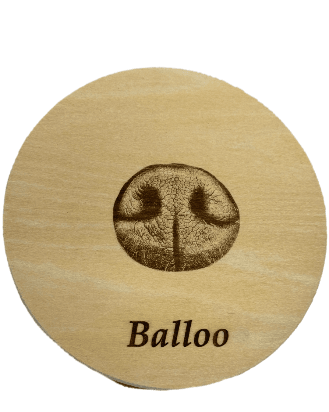 Laser-engraved nose print on wooden disc or urn.