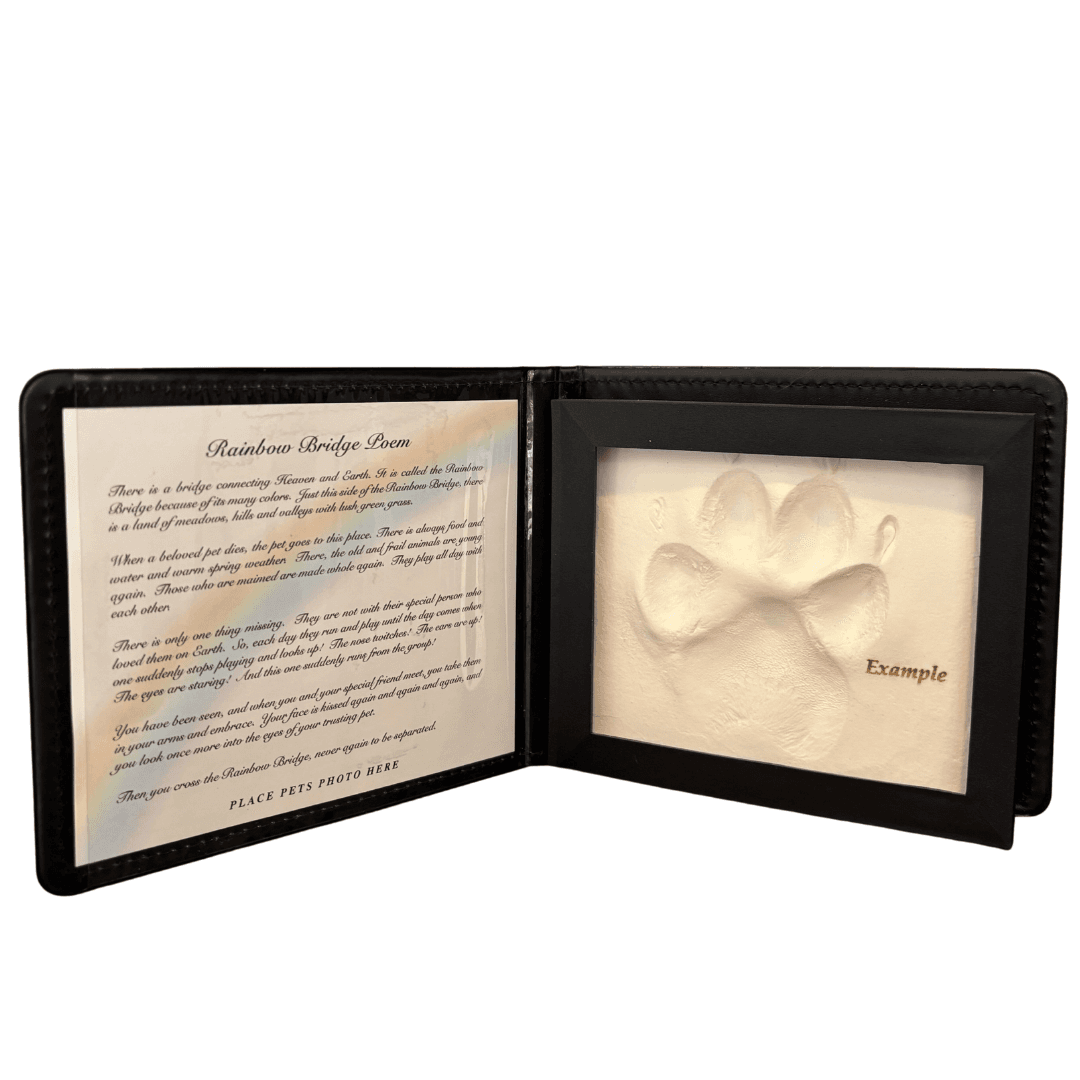 Dimensional paw print in a framed shadow box display.