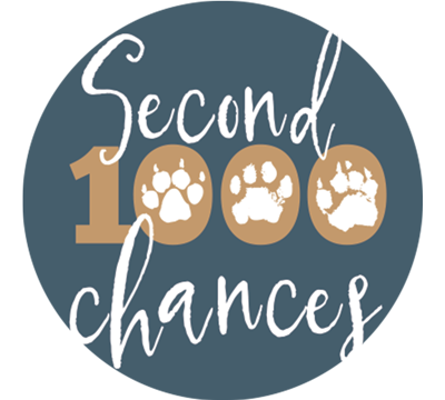 1000 Second Chances by Companah