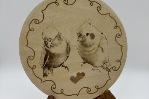 Celebrations & Memorials