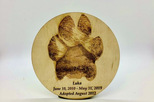 Paw prints